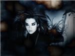 wallpapers k BILL - *luv_Bill* - Bill Kaulitz